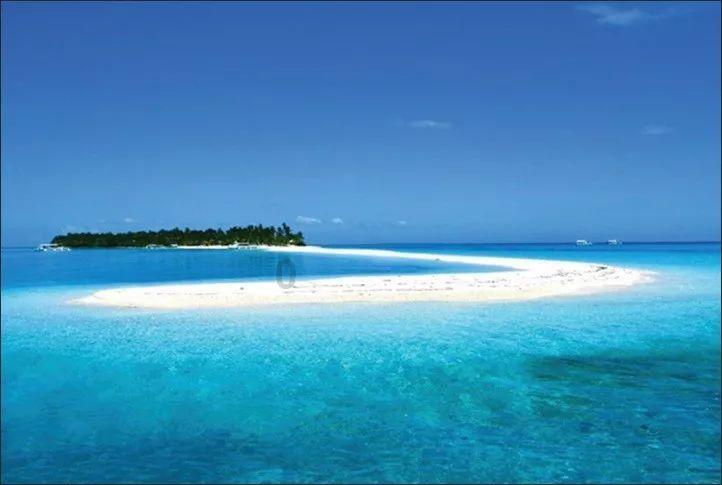 一顿浪漫晚餐